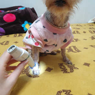 솜희님이 올린 리뷰 사진 4