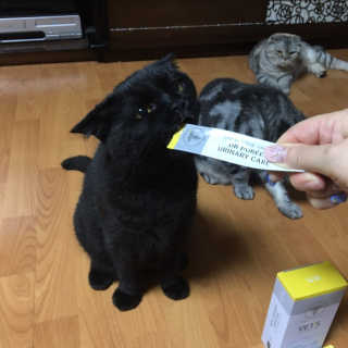 고먐미님이 올린 리뷰 사진 3
