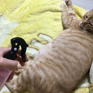 따니님이 올린 리뷰 사진 1