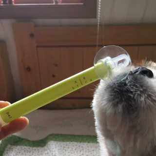 하늘찡님이 올린 리뷰 사진 2