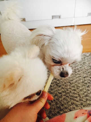 은수수님이 올린 리뷰 사진 2