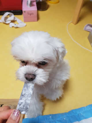 뽀오오옹님이 올린 리뷰 사진 2