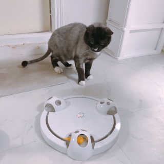 이잉룽님이 올린 리뷰 사진 4