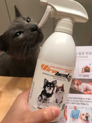pure님이 올린 리뷰 사진 3
