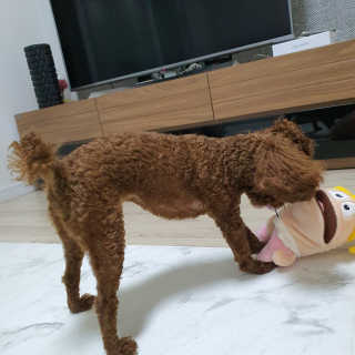 봄찌님이 올린 리뷰 사진 3