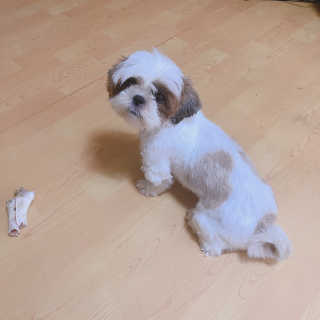 하이내처 해피샴푸바 — 5점을 준 리뷰어가 2019년 8월 올린 사용 사진
