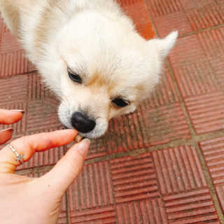 고유경님이 올린 리뷰 사진 4