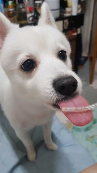 블리블리♡은블리♡님이 올린 리뷰 사진 4