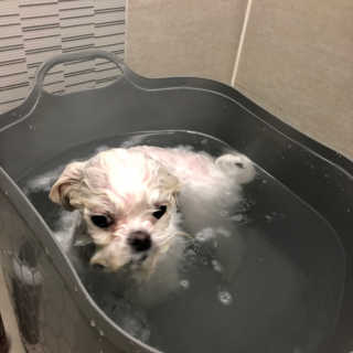 율리킴님이 올린 리뷰 사진 4