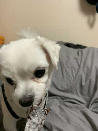 연화님이 올린 리뷰 사진 2