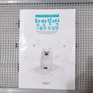 [펫토리아] 한판뚝딱 강아지 배변판 실속형,초대형 — 5점을 준 리뷰어가 2019년 6월 올린 사용 사진