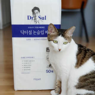 제니언니님이 올린 리뷰 사진 3