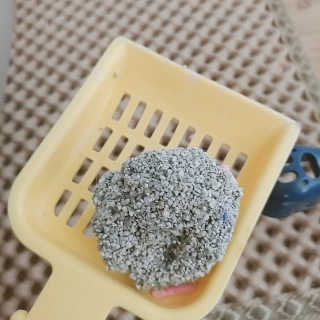 단비님이 올린 리뷰 사진 3