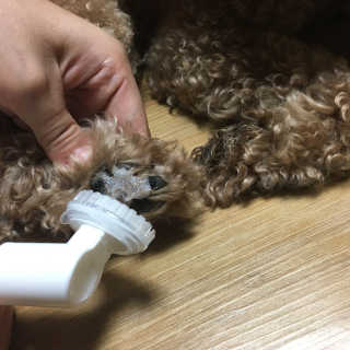 BakVeronica님이 올린 리뷰 사진 3