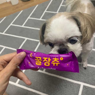 꾸웅다인님이 올린 리뷰 사진 1