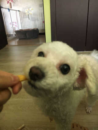 안유진님이 올린 리뷰 사진 3