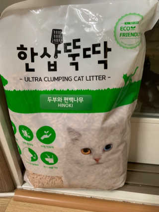 [펫토리아] BEST 고양이두부모래 6L 한삽뚝딱 — 5점을 준 리뷰어가 2019년 1월 올린 사용 사진
