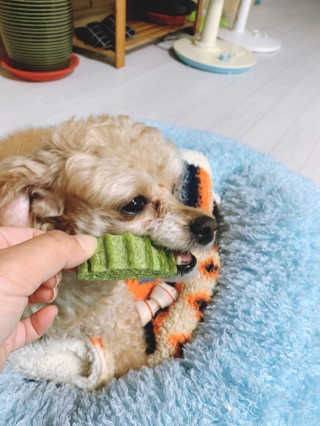 랑이님이 올린 리뷰 사진 2