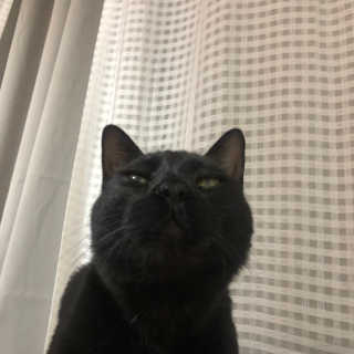 수야님이 올린 리뷰 사진 2