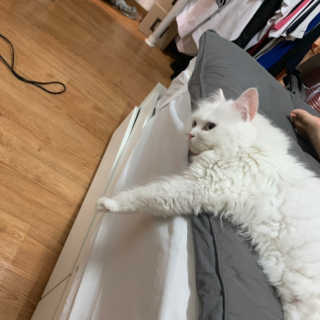례진님이 올린 리뷰 사진 3