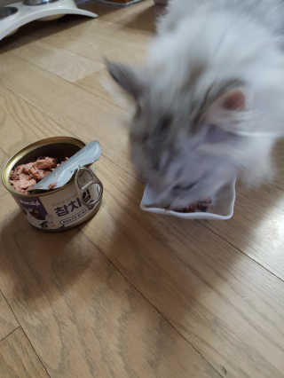 민댕댕이님이 올린 리뷰 사진 1