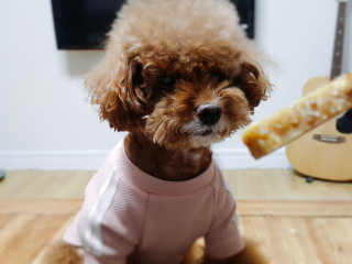 사자님이 올린 리뷰 사진 4