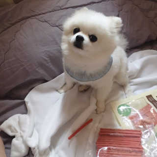 백설님이 올린 리뷰 사진 1