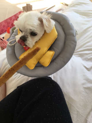 단발소녀님이 올린 리뷰 사진 2
