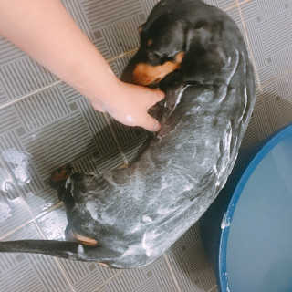 twotkdgml님이 올린 리뷰 사진 2