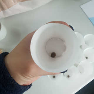 grey님이 올린 리뷰 사진 1