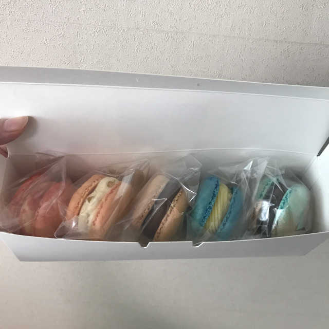 달빛마카롱 5구세트 리뷰 사진