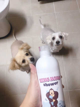 DDoA님이 올린 리뷰 사진 1