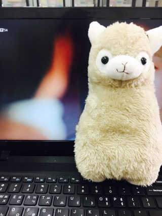 김미정님이 올린 리뷰 사진 1