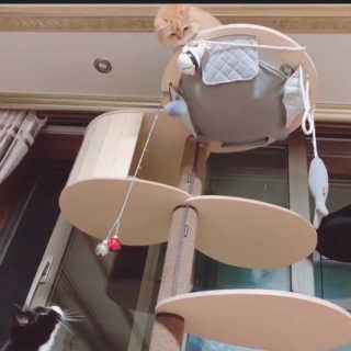나르미르님이 올린 리뷰 사진 3