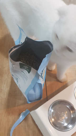 그린펫푸드 인섹트캣 글루텐프리（1.2KG） — 5점을 준 리뷰어가 2019년 7월 올린 사용 사진