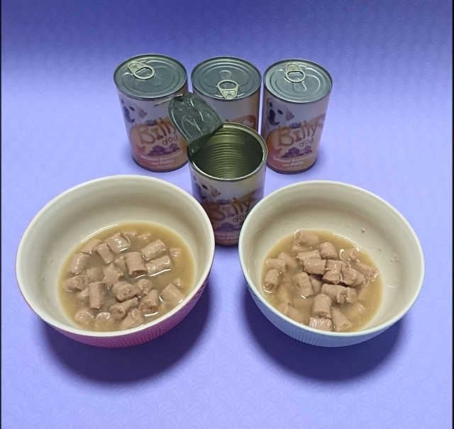 [펫토리아]오스트리아산 강아지 대용량주식캔 빌리 리뷰 사진