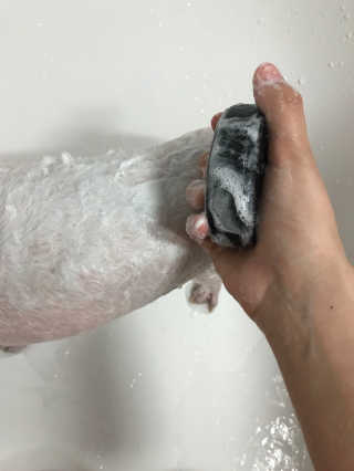 지우정님이 올린 리뷰 사진 4