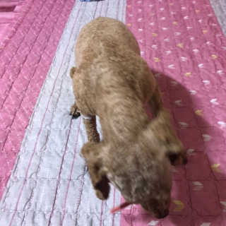 아해님이 올린 리뷰 사진 3