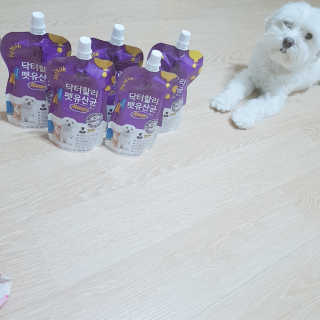 쏨님이 올린 리뷰 사진 2
