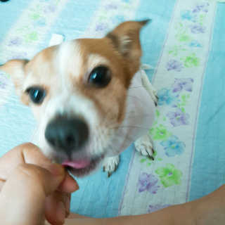 호꼬두님이 올린 리뷰 사진 3