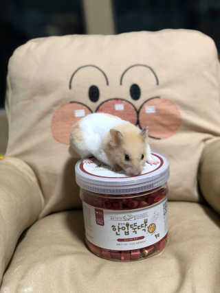 임다똥님이 올린 리뷰 사진 2