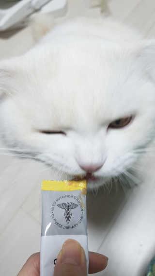soo님이 올린 리뷰 사진 4
