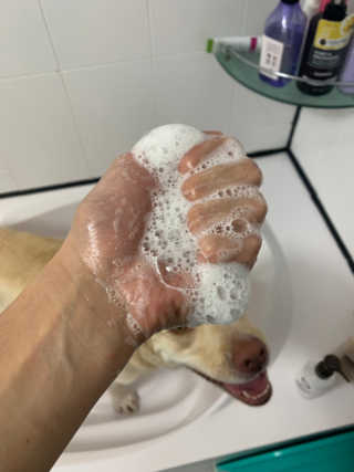 이지닝님이 올린 리뷰 사진 4