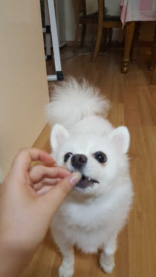 하늬몽님이 올린 리뷰 사진 4