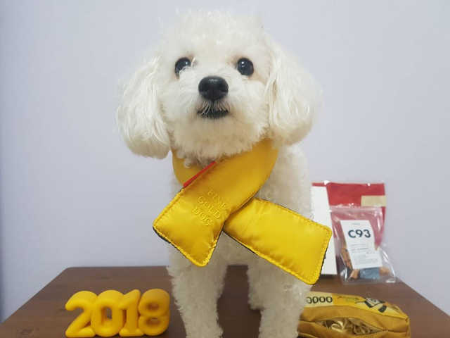 베이컨박스 리뷰 사진