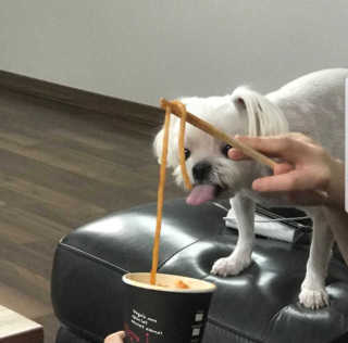 한입이절실한갱얼쥐님이 올린 리뷰 사진 1