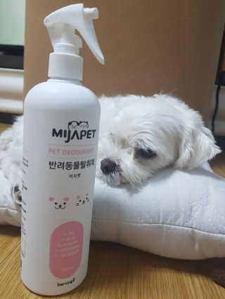 SunLee님이 올린 리뷰 사진 2