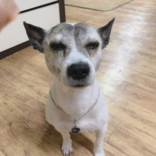 은해짱님이 올린 리뷰 사진 2