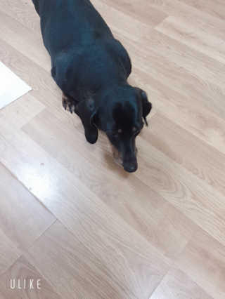 송돌핑핑파더님이 올린 리뷰 사진 2