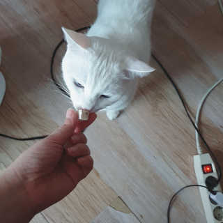 비오맘님이 올린 리뷰 사진 3